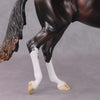 &quot;Cassius&quot; Pre-Order LE-15 FCM Thoroughbred By Ellen Robbins CL25