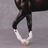 &quot;Cassius&quot; Pre-Order LE-15 FCM Thoroughbred By Ellen Robbins CL25