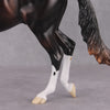 &quot;Cassius&quot; Pre-Order LE-15 FCM Thoroughbred By Ellen Robbins CL25