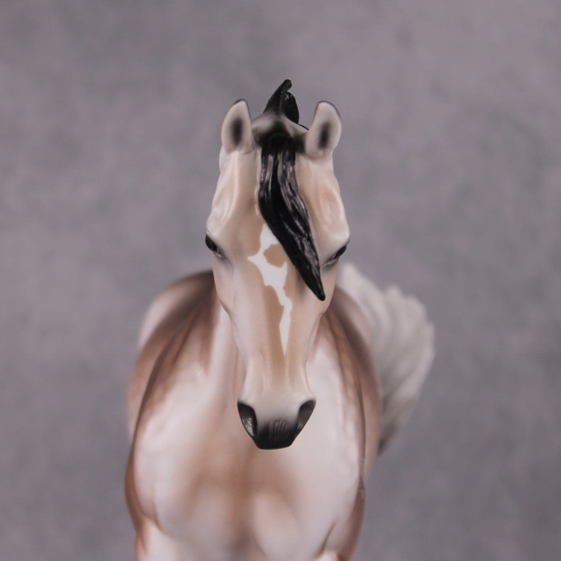 "Brutus" Pre-Order LE-15 FCM Thoroughbred By Ellen Robbins CL25