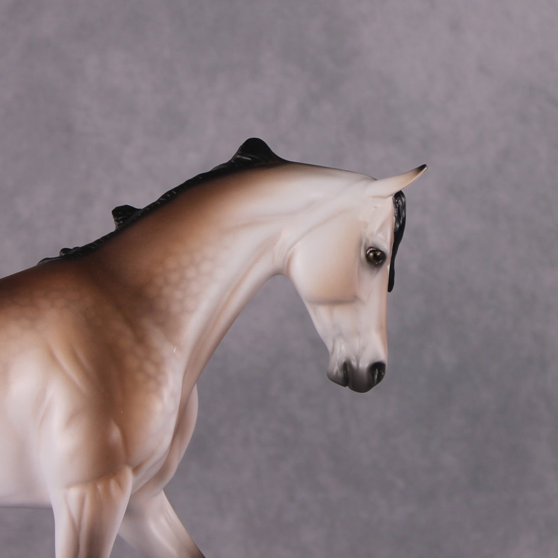 "Brutus" Pre-Order LE-15 FCM Thoroughbred By Ellen Robbins CL25
