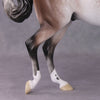 &quot;Brutus&quot; Pre-Order LE-15 FCM Thoroughbred By Ellen Robbins CL25