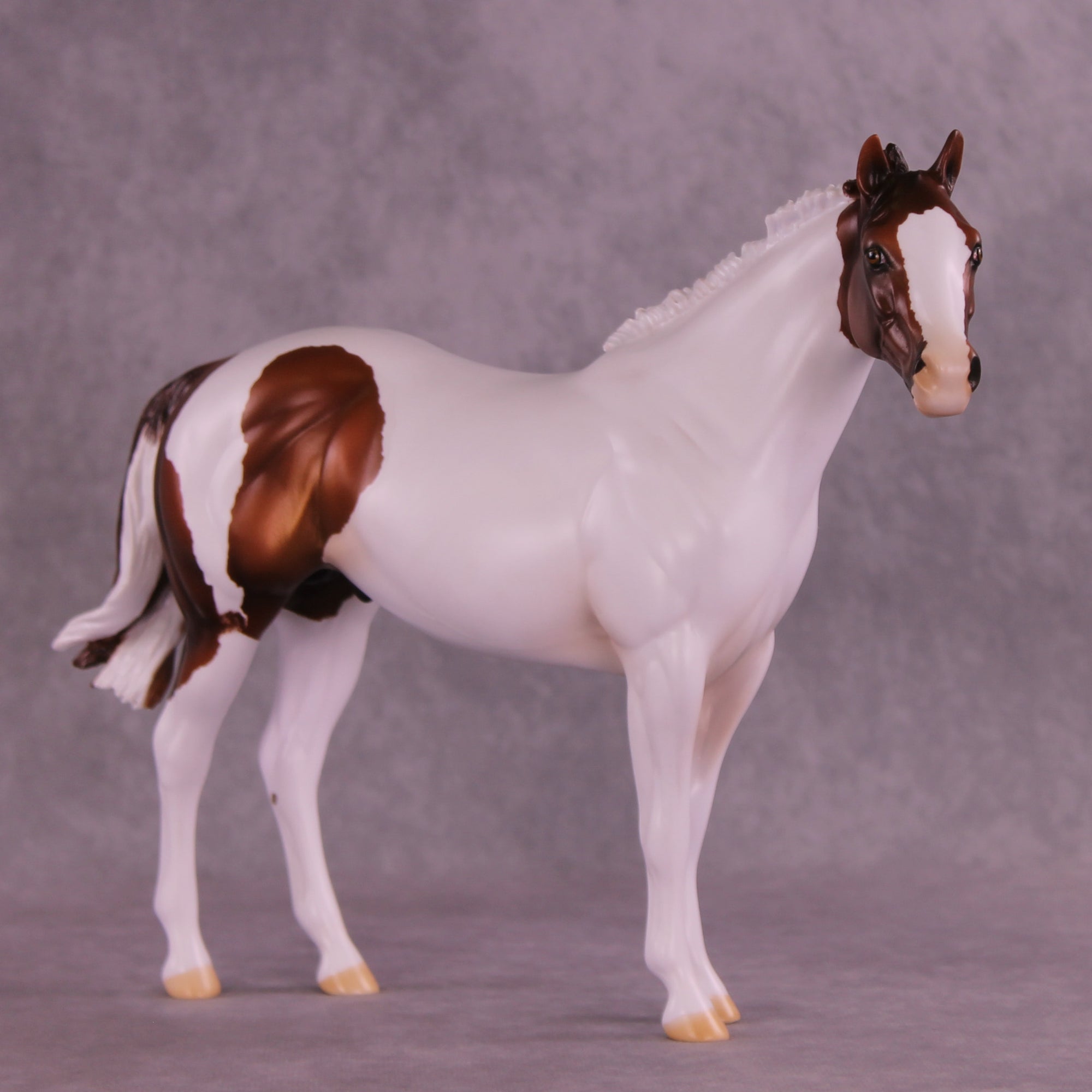 Little Foot OOAK FCM Ideal Stock Horse by Ashley Palmer DDOOAKs25