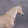 &quot;Song of the Sand and Sea&quot; OOAK FCM Morgan/Andalusian By Ashley Palmer SHCF25 Best Offer 5/27/2025