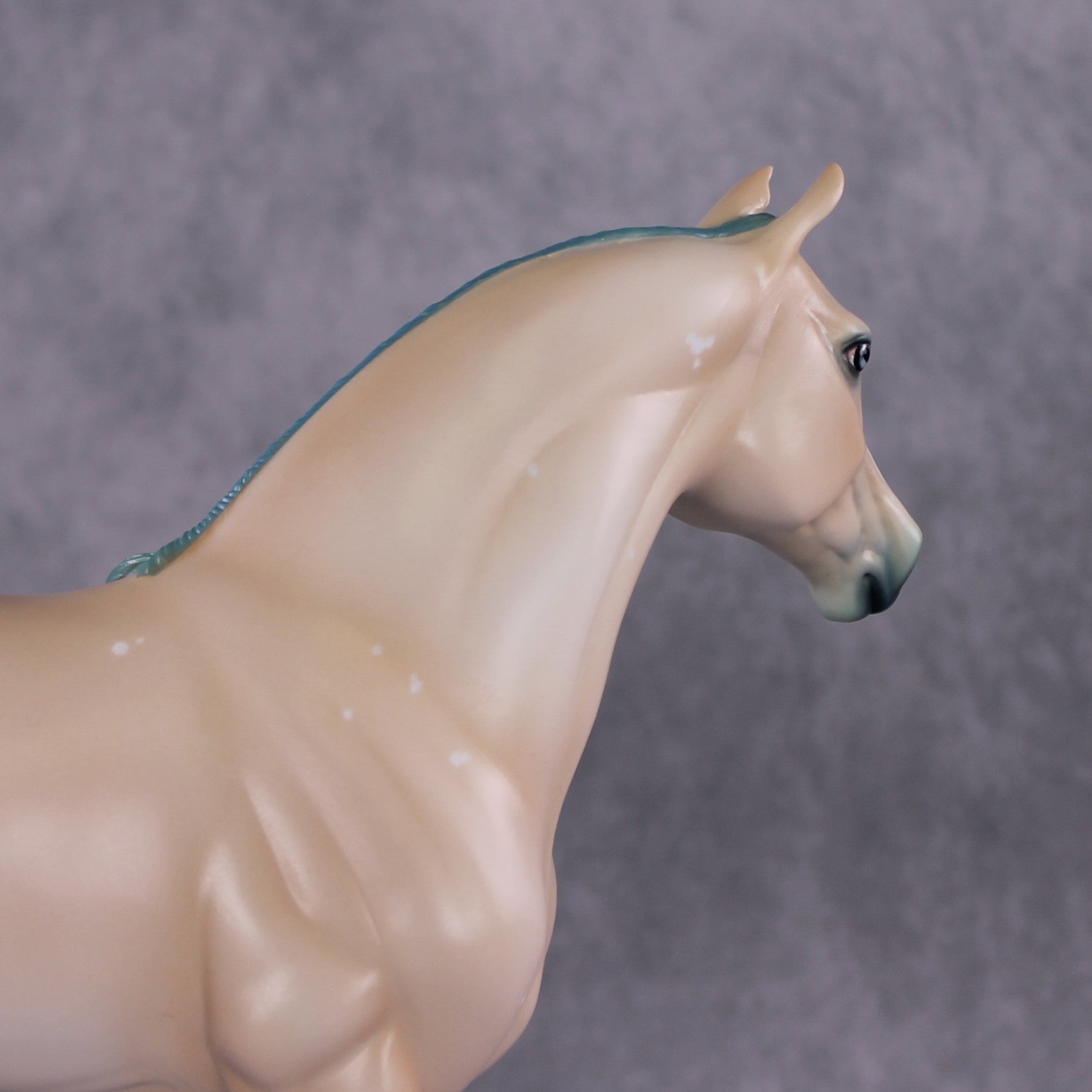 "Song of the Sand and Sea" OOAK FCM Morgan/Andalusian By Ashley Palmer SHCF25 Best Offer 5/27/2025