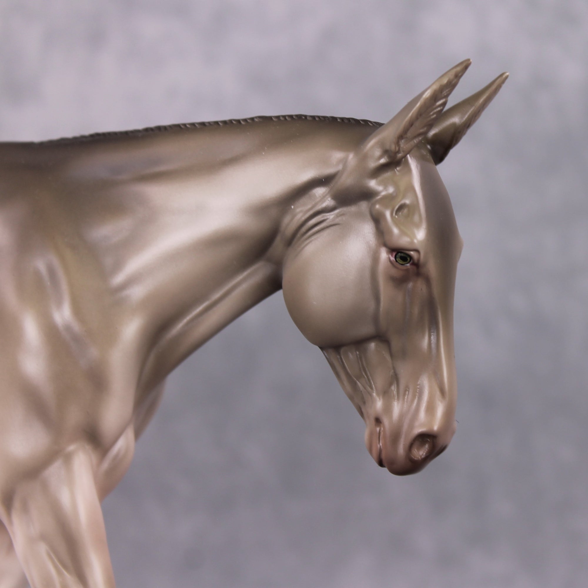 Two N Renn LE 25 Champagne Gelding Painted By Jess Hamill Holiday Sale Run HS24