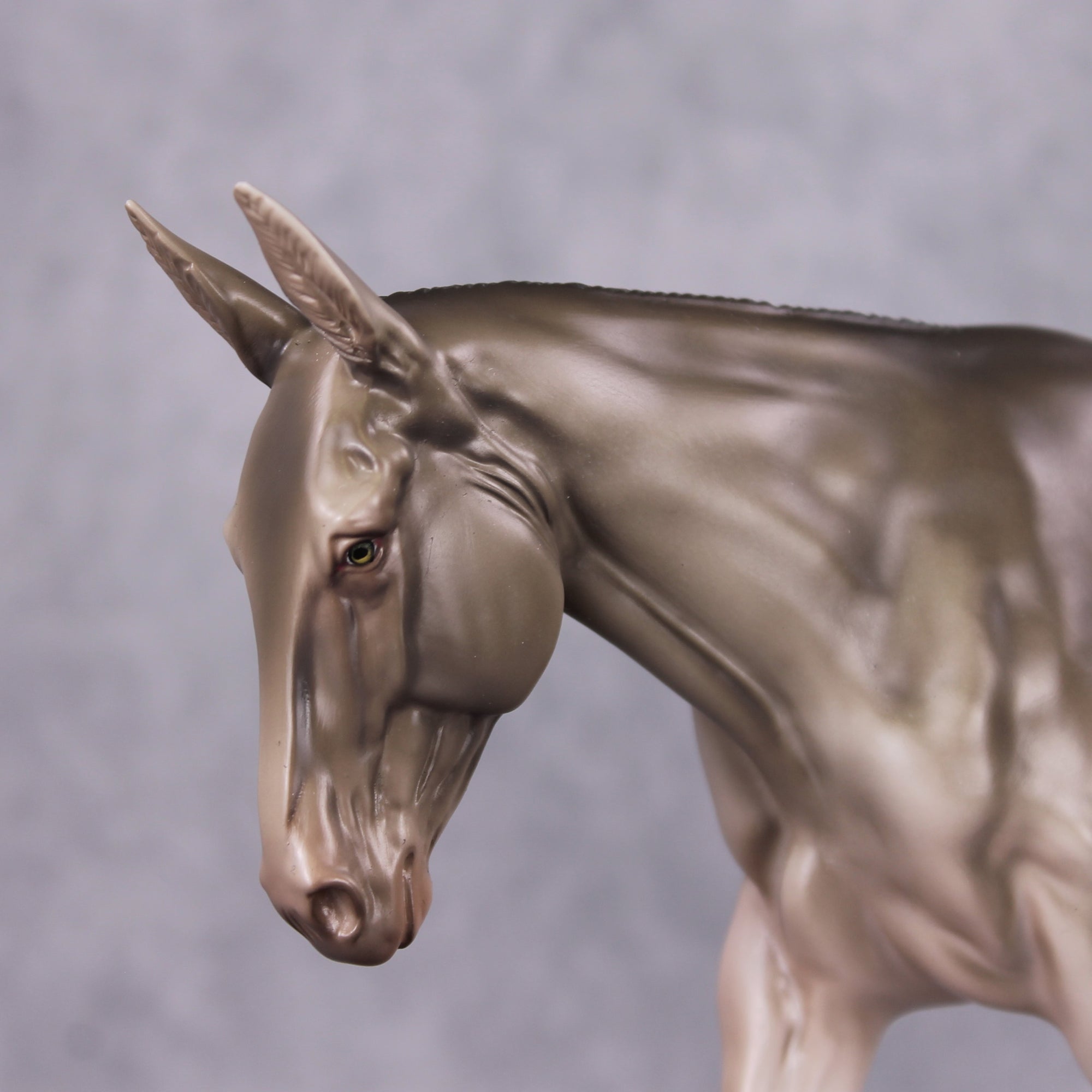 Two N Renn LE 25 Champagne Gelding Painted By Jess Hamill Holiday Sale Run HS24