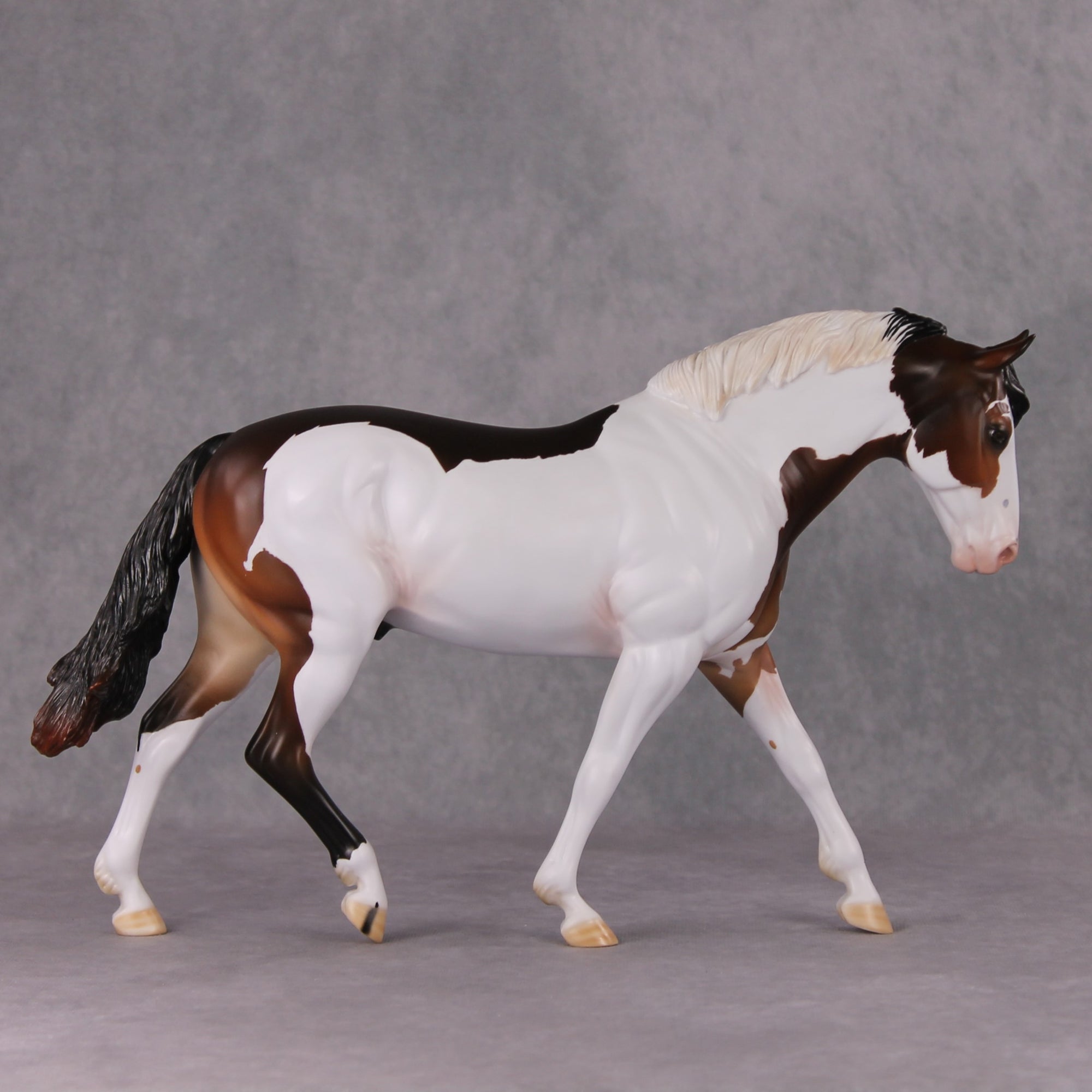 Oracle LE-30 Bay Tobiano Irish Draught By Ashley Palmer Holiday Sale Run HS24