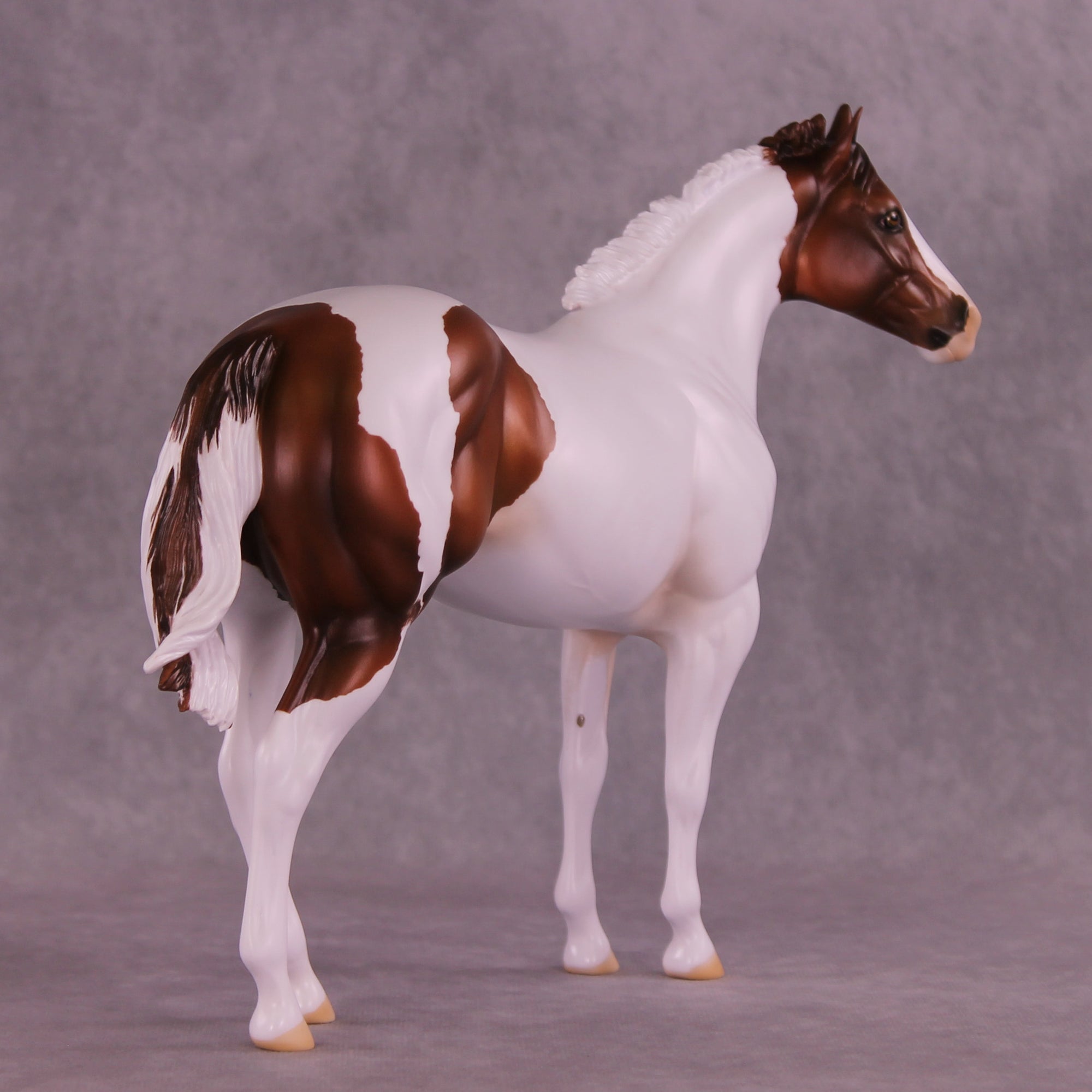 Little Foot OOAK FCM Ideal Stock Horse by Ashley Palmer DDOOAKs25