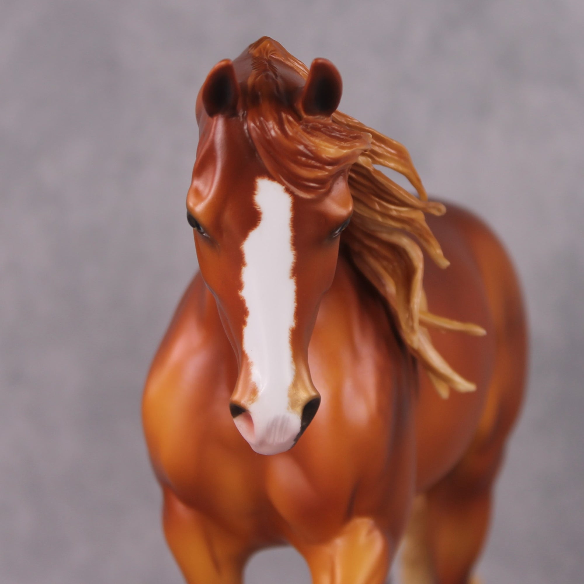 "Julius Caesar" OOAK FCM Thoroughbred By Ellen Robbins Best Offer