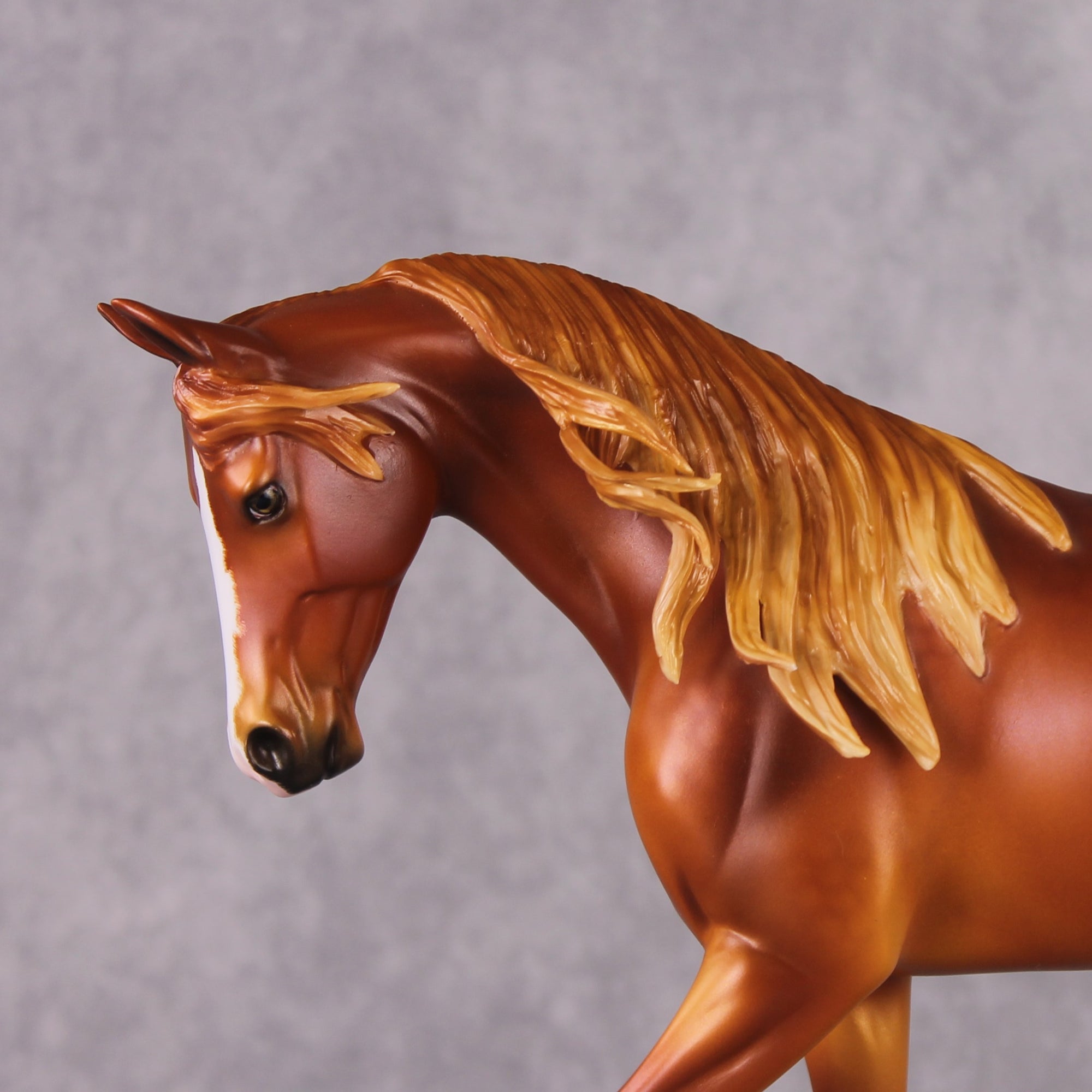 "Julius Caesar" OOAK FCM Thoroughbred By Ellen Robbins Best Offer