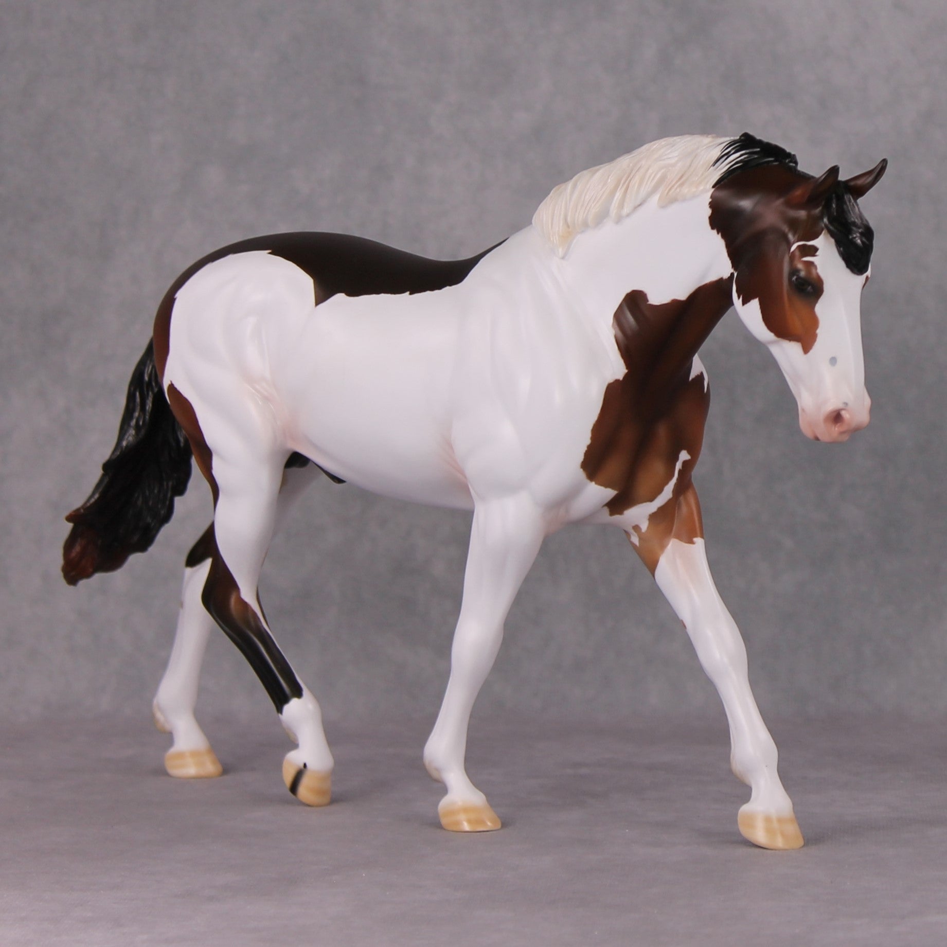 Oracle LE-30 Bay Tobiano Irish Draught By Ashley Palmer Holiday Sale Run HS24