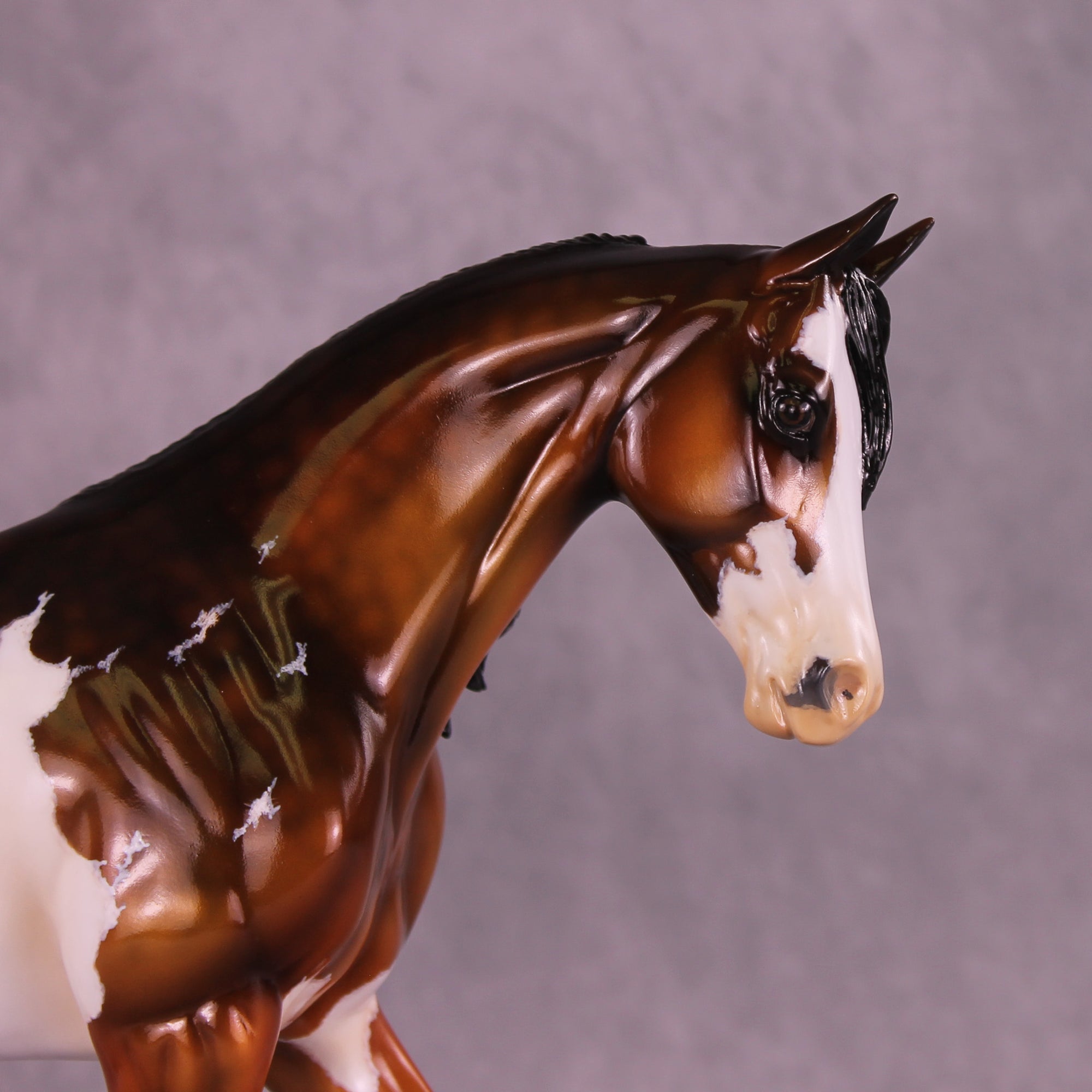 Starboard OOAK FCM Thoroughbred by Kristen Cermele Best Offer 11/18/25