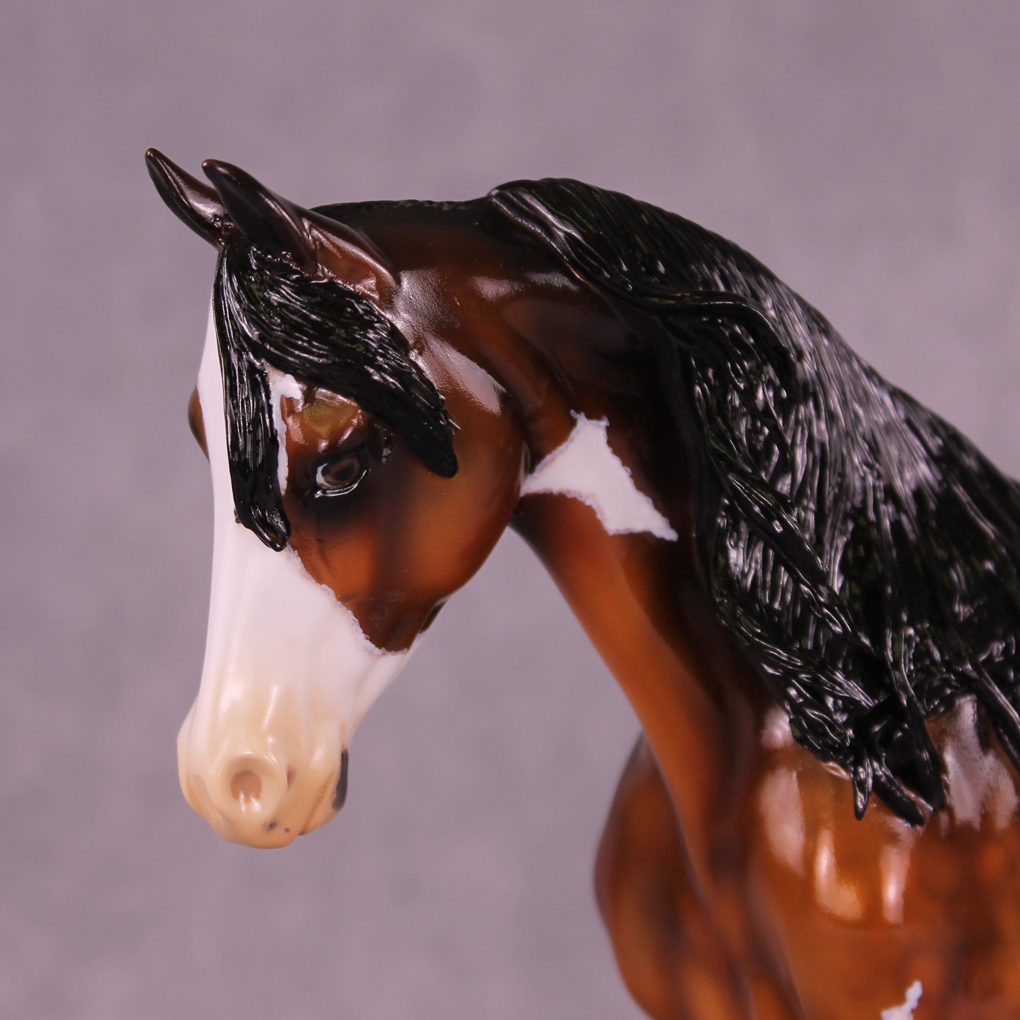 Starboard OOAK FCM Thoroughbred by Kristen Cermele Best Offer 11/18/25