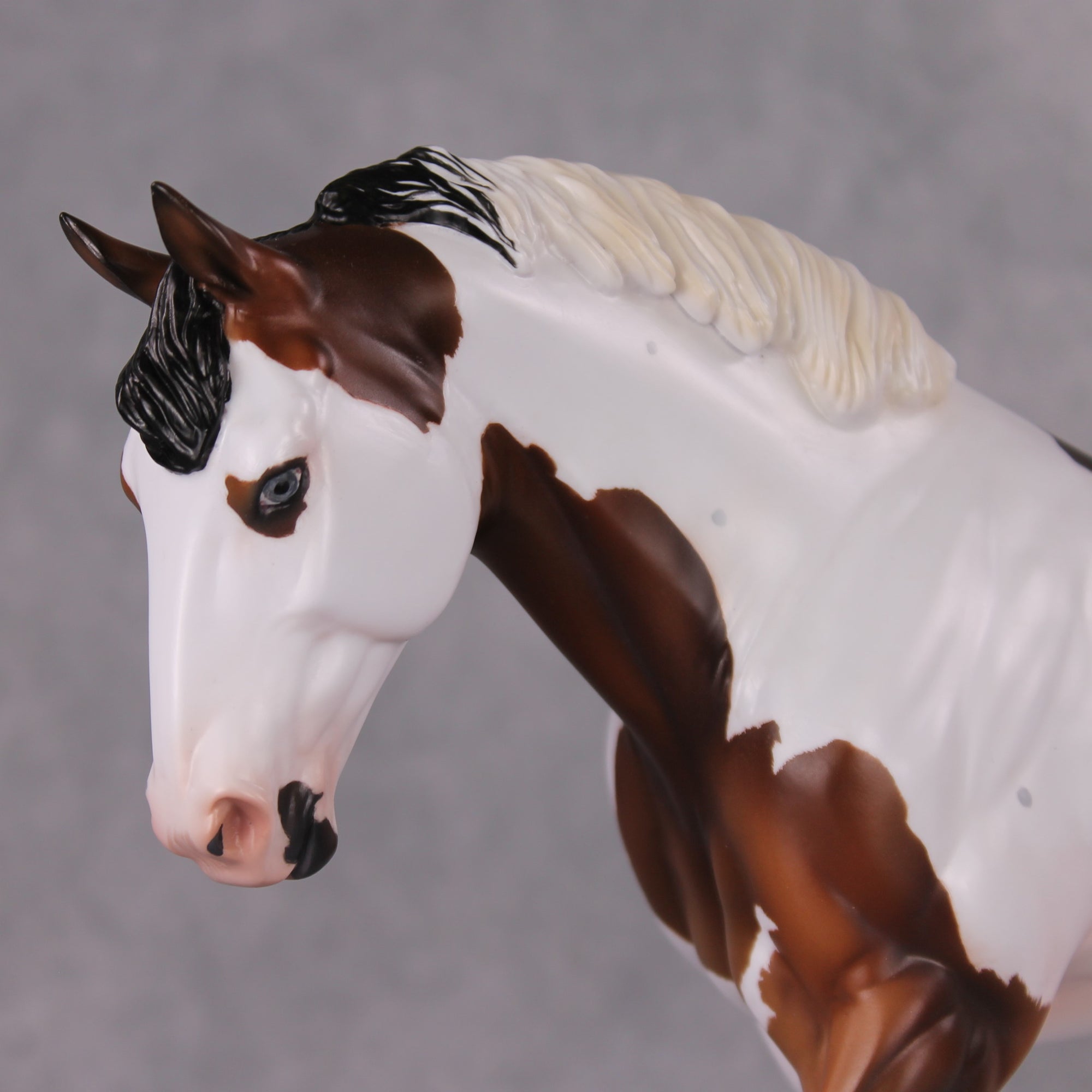 Oracle LE-30 Bay Tobiano Irish Draught By Ashley Palmer Holiday Sale Run HS24