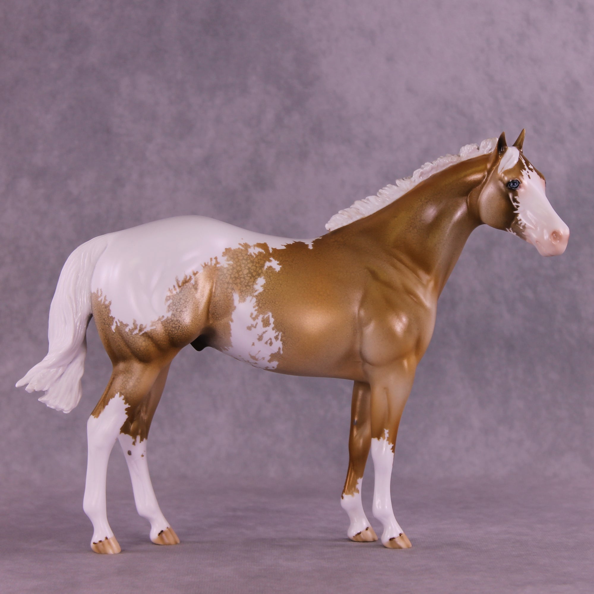 Golden Alexander OOAK FCM Ideal Stock Horse by Dawn Quick DDOOAKs25