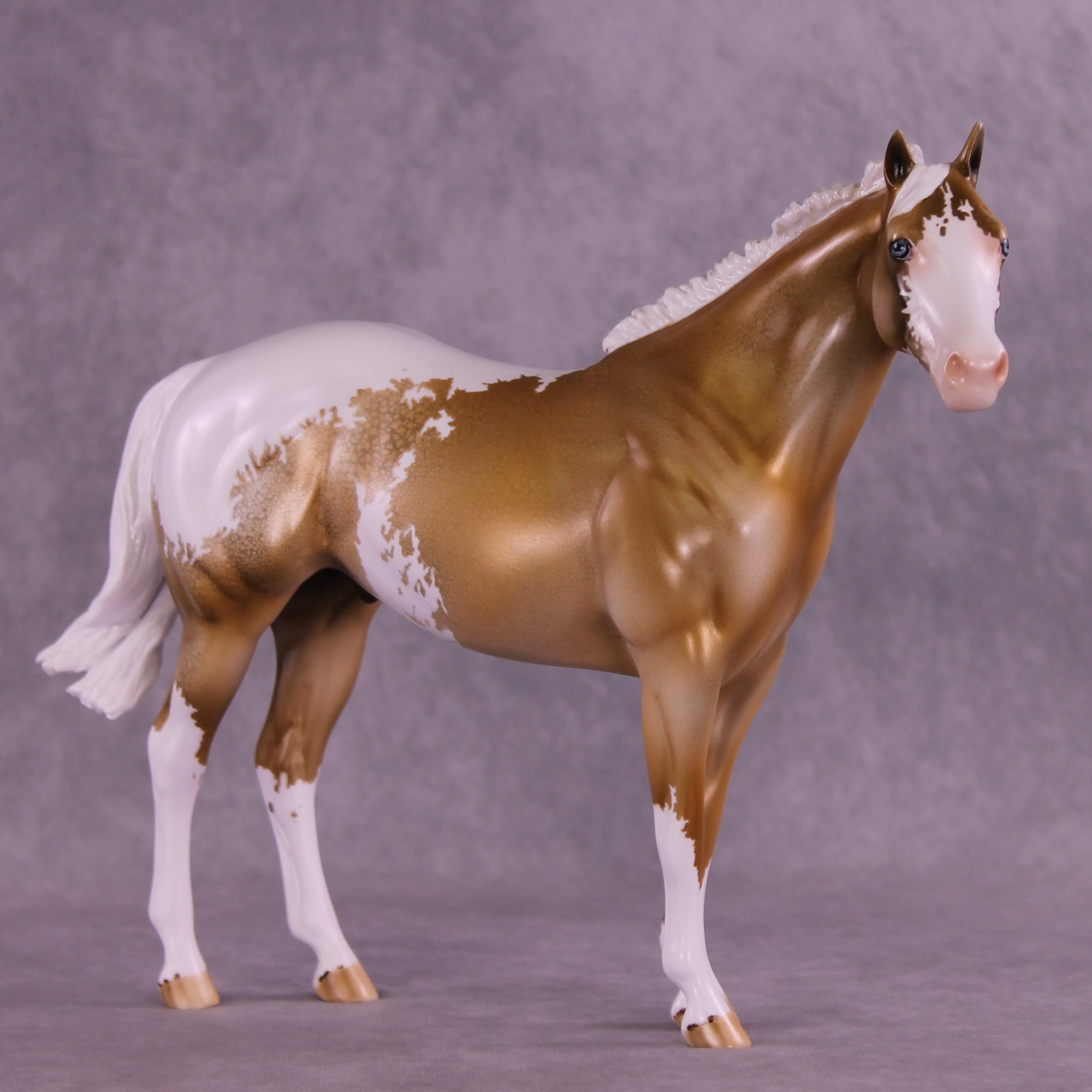 Golden Alexander OOAK FCM Ideal Stock Horse by Dawn Quick DDOOAKs25