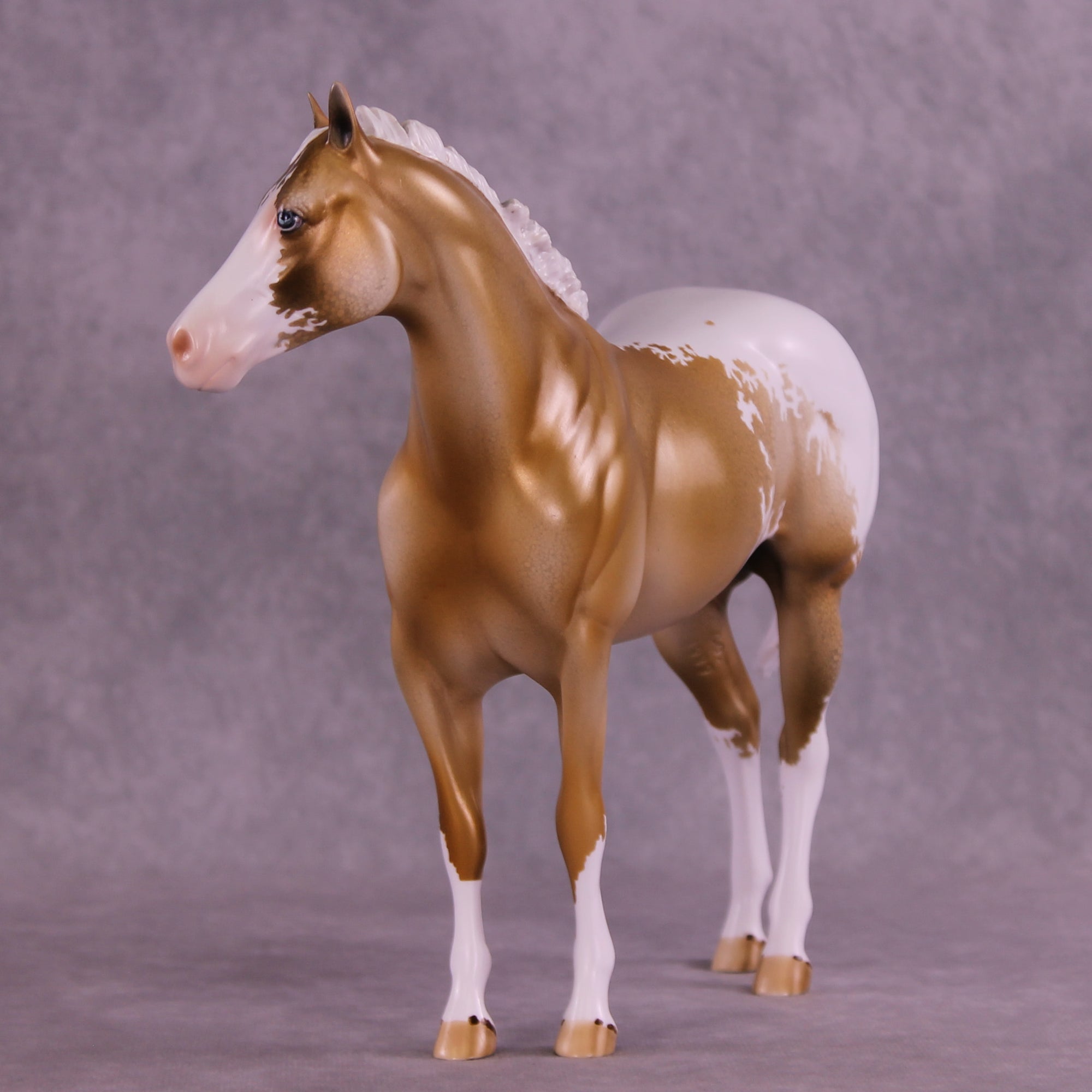 Golden Alexander OOAK FCM Ideal Stock Horse by Dawn Quick DDOOAKs25