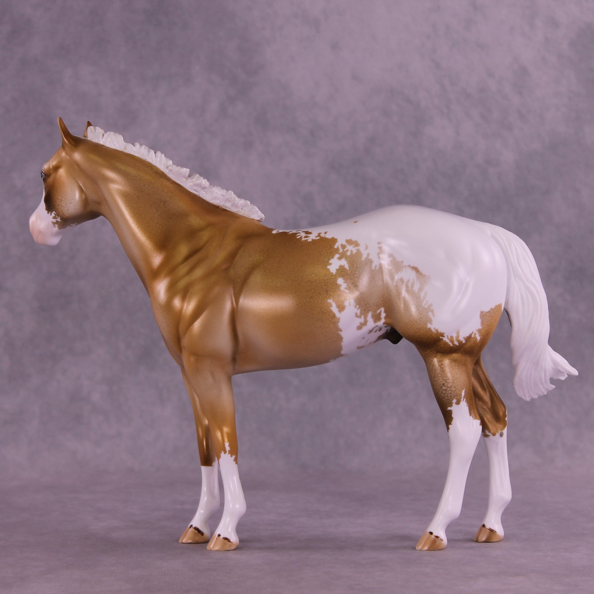 Golden Alexander OOAK FCM Ideal Stock Horse by Dawn Quick DDOOAKs25