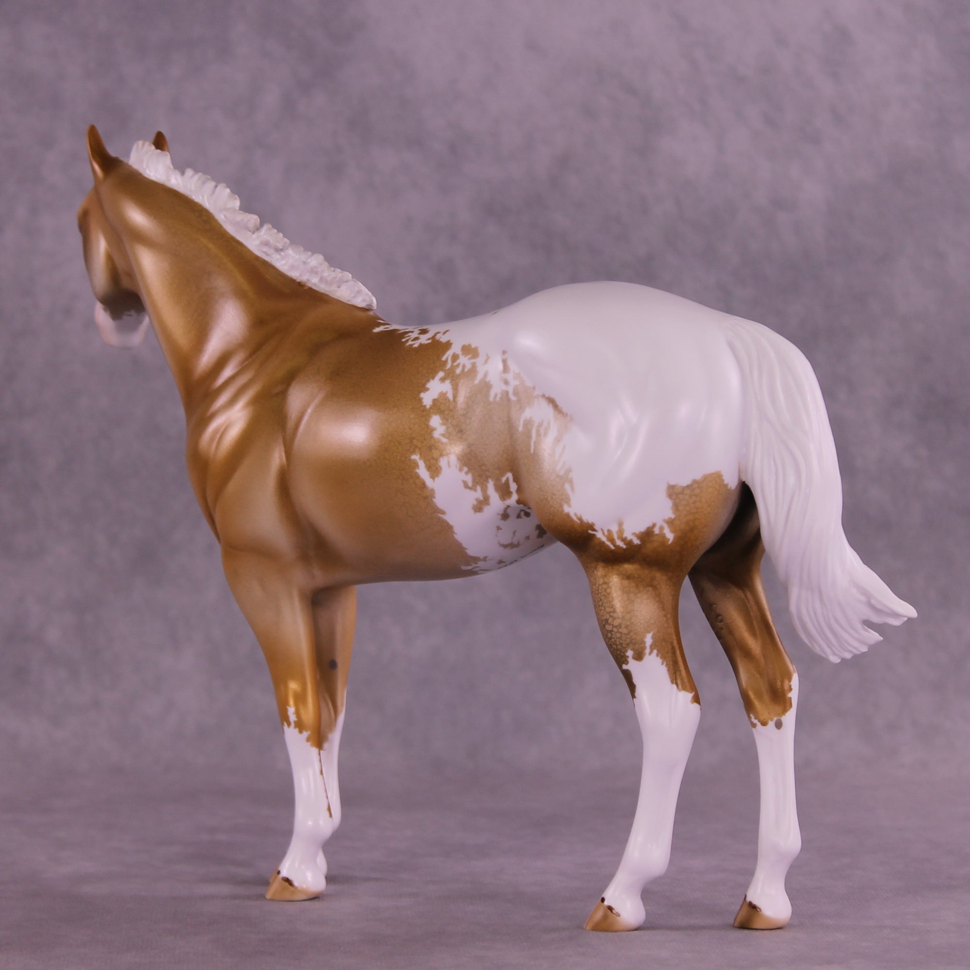 Golden Alexander OOAK FCM Ideal Stock Horse by Dawn Quick DDOOAKs25