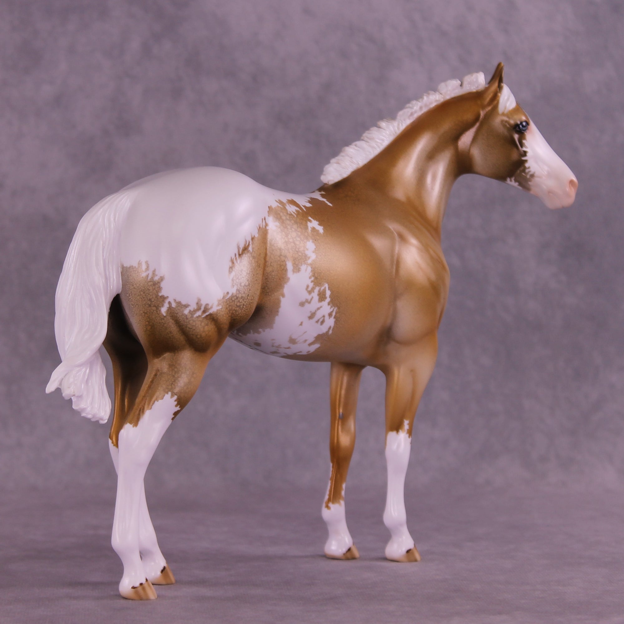 Golden Alexander OOAK FCM Ideal Stock Horse by Dawn Quick DDOOAKs25