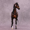 Latimer OOAK FCM Arabian Stallion by Sheryl Leisure Best Offer 10/21/25