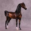 Latimer OOAK FCM Arabian Stallion by Sheryl Leisure Best Offer 10/21/25