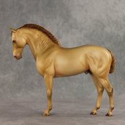 Corazon Dorado LE-15 FCM Andalusian by Ashley Palmer VV26