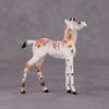 Crouton LE-10 Piebald Deer Button Buck Foal Chip By Dawn Quick Holiday Sale Run HS24