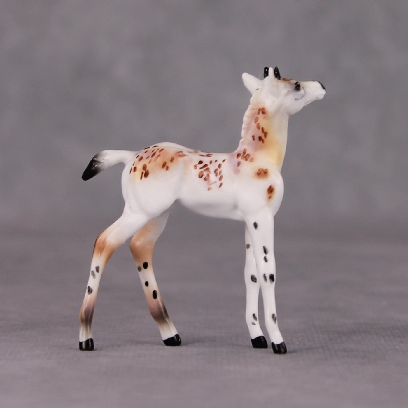 "Crouton" Foal Chip Sample by Dawn Quick