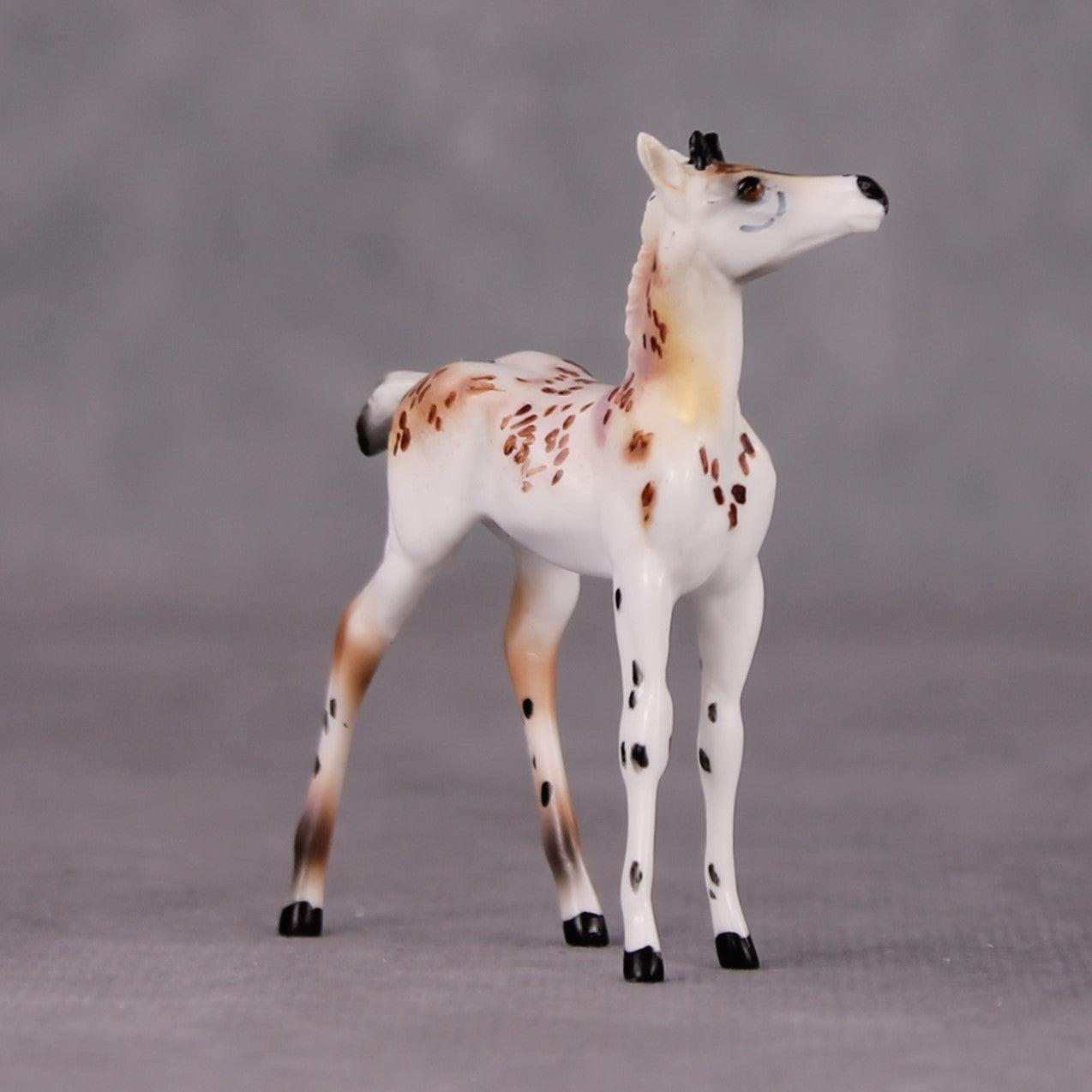 "Crouton" Foal Chip Sample by Dawn Quick