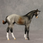 Puppy Love LE-15 FCM Stock Horse Weanling by Ashley Palmer VV26