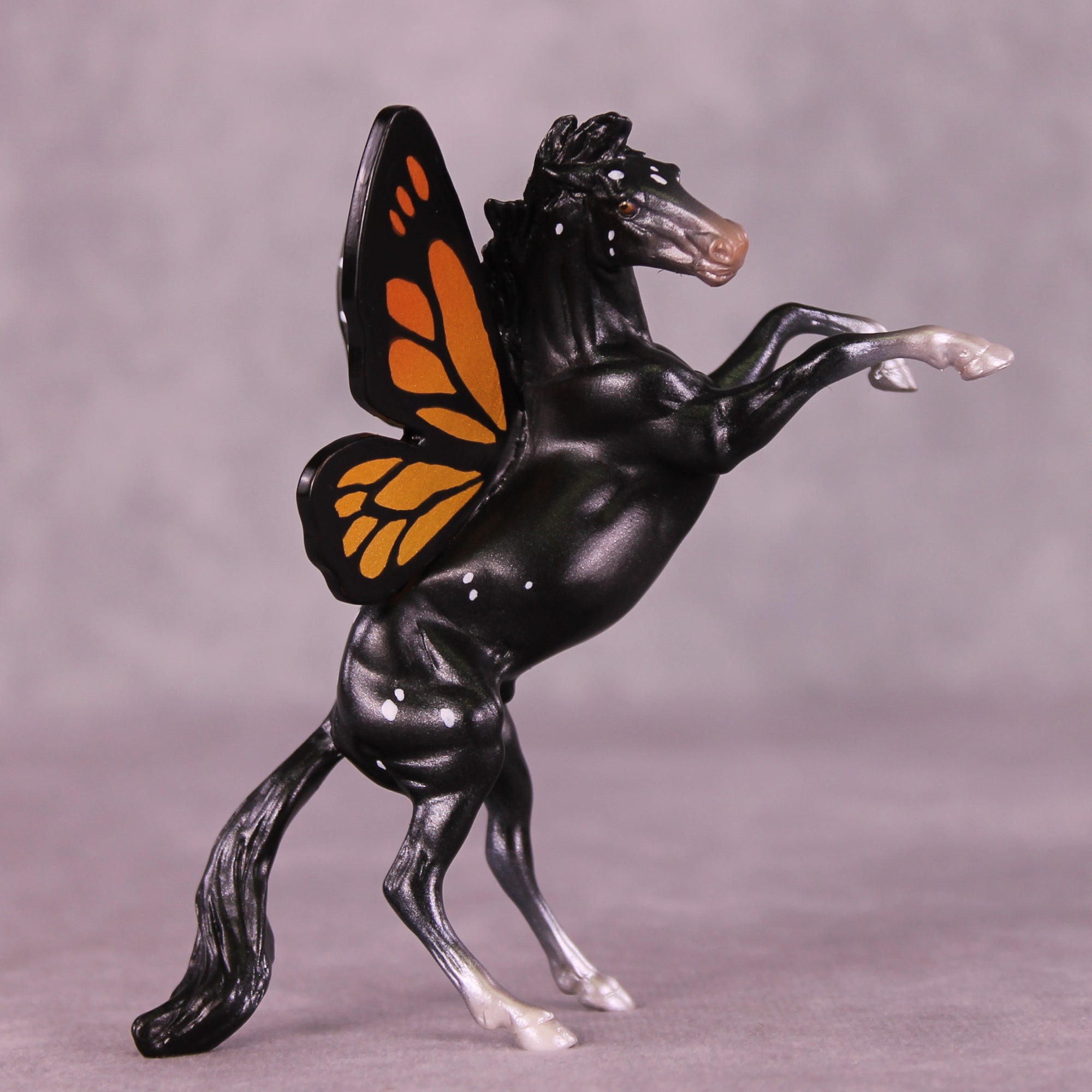 Danaus LE-5 FCM Rearing Chip by Jess Hamill MS25