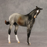 Puppy Love LE-15 FCM Stock Horse Weanling by Ashley Palmer VV26