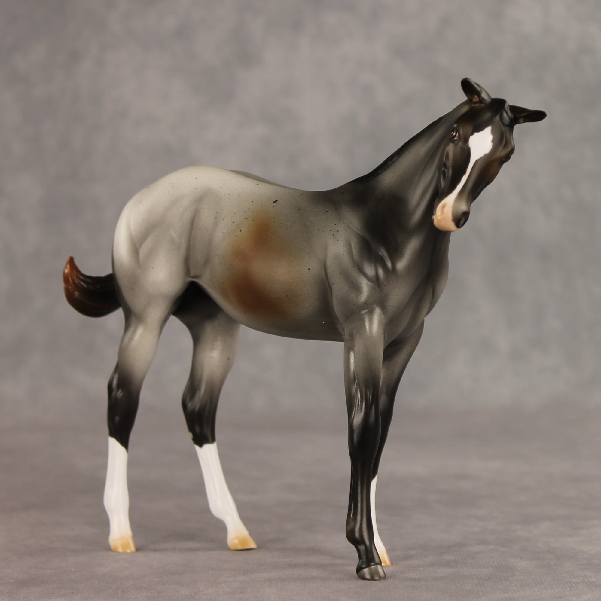 Puppy Love LE-15 FCM Stock Horse Weanling by Ashley Palmer VV26