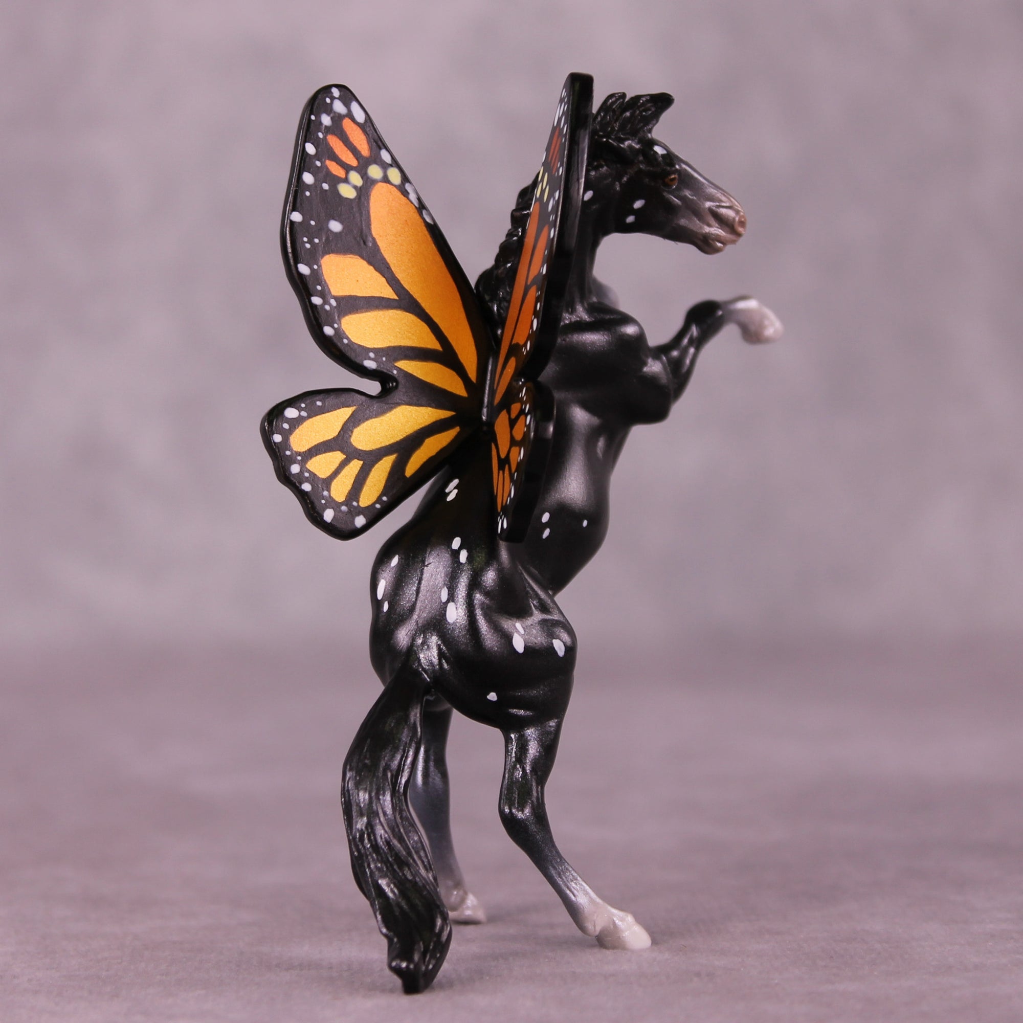 Danaus LE-5 FCM Rearing Chip by Jess Hamill MS25