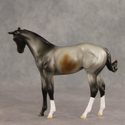 Puppy Love LE-15 FCM Stock Horse Weanling by Ashley Palmer VV26