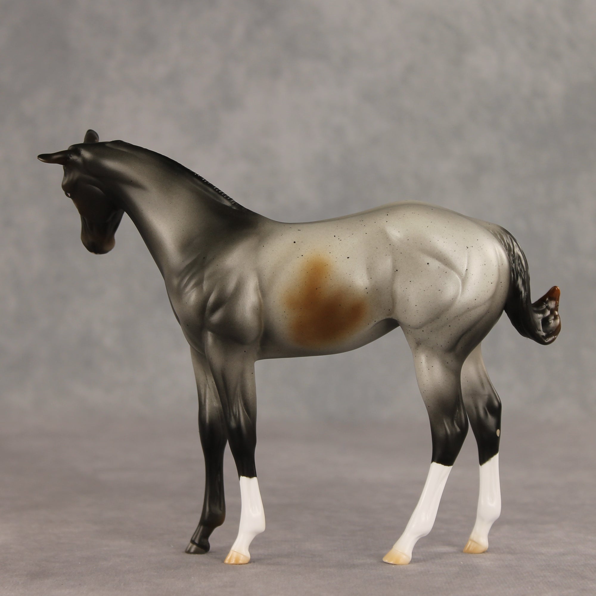 Puppy Love LE-15 FCM Stock Horse Weanling by Ashley Palmer VV26