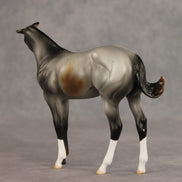 Puppy Love LE-15 FCM Stock Horse Weanling by Ashley Palmer VV26