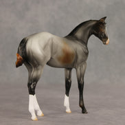 Puppy Love LE-15 FCM Stock Horse Weanling by Ashley Palmer VV26