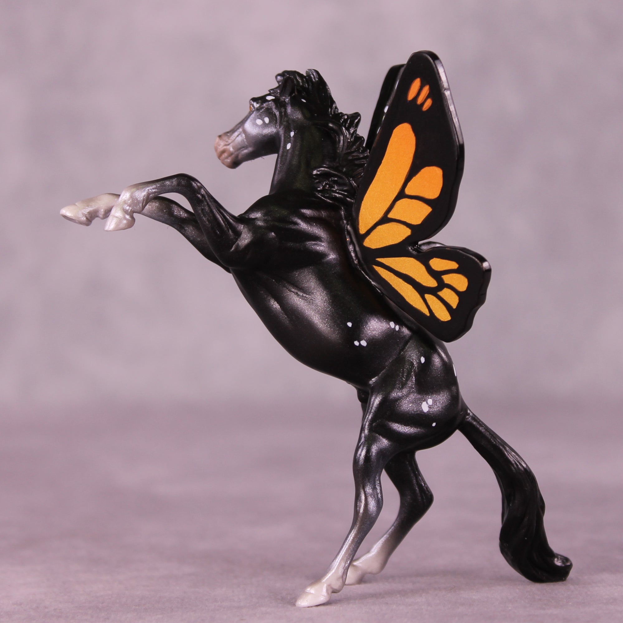 Danaus LE-5 FCM Rearing Chip by Jess Hamill MS25