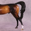 Latimer OOAK FCM Arabian Stallion by Sheryl Leisure Best Offer 10/21/25