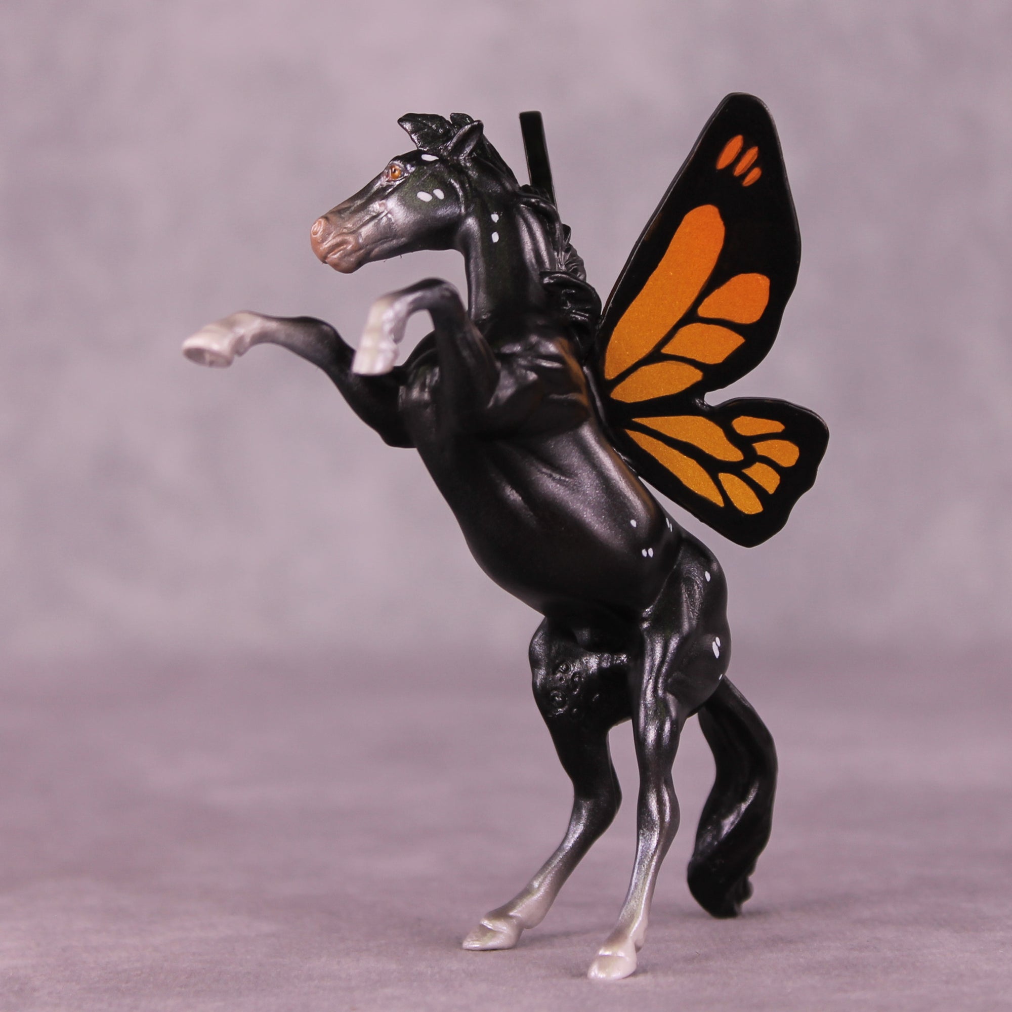 Danaus LE-5 FCM Rearing Chip by Jess Hamill MS25