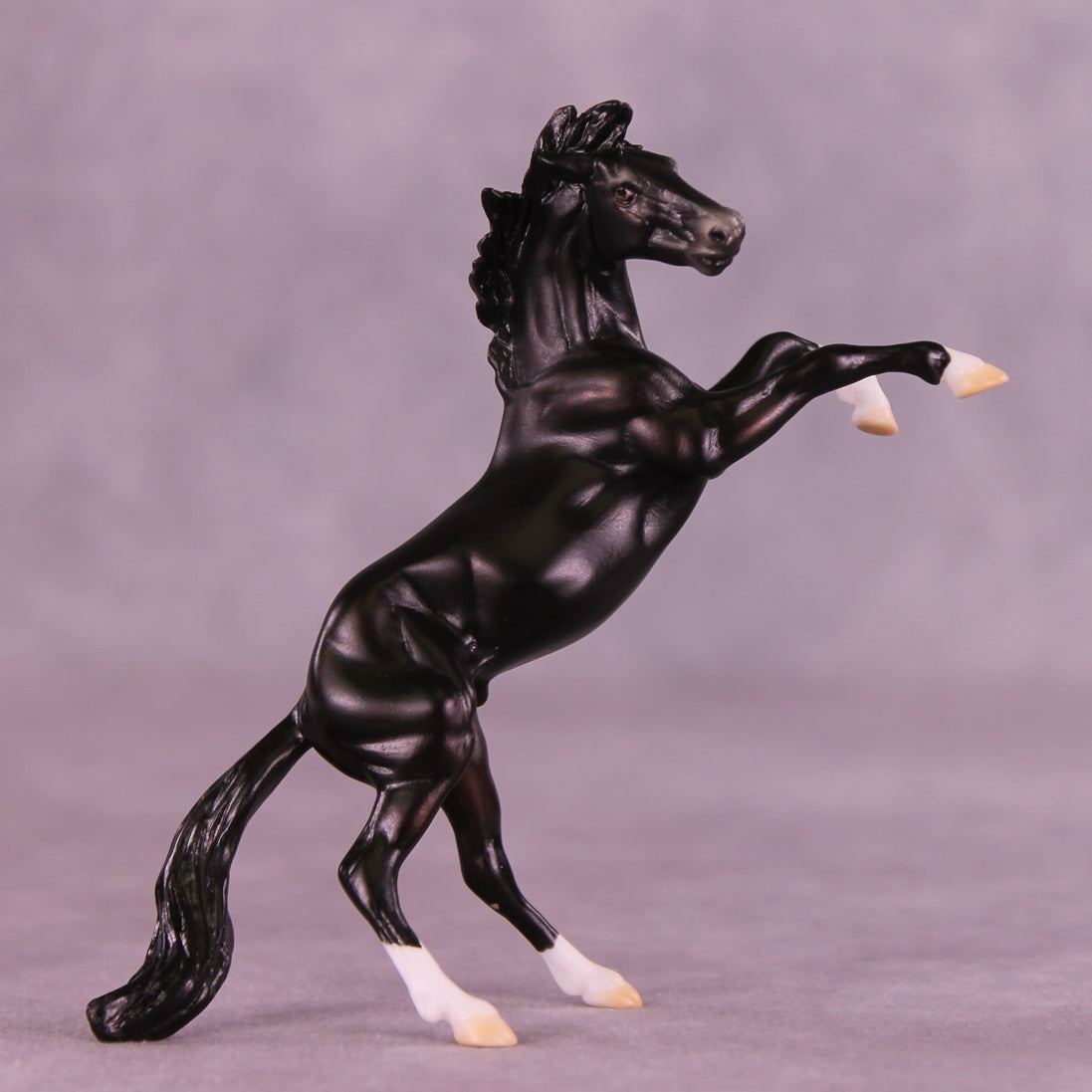 Camillo LE-5 Chip Mustang by Ellen Robbins CL25