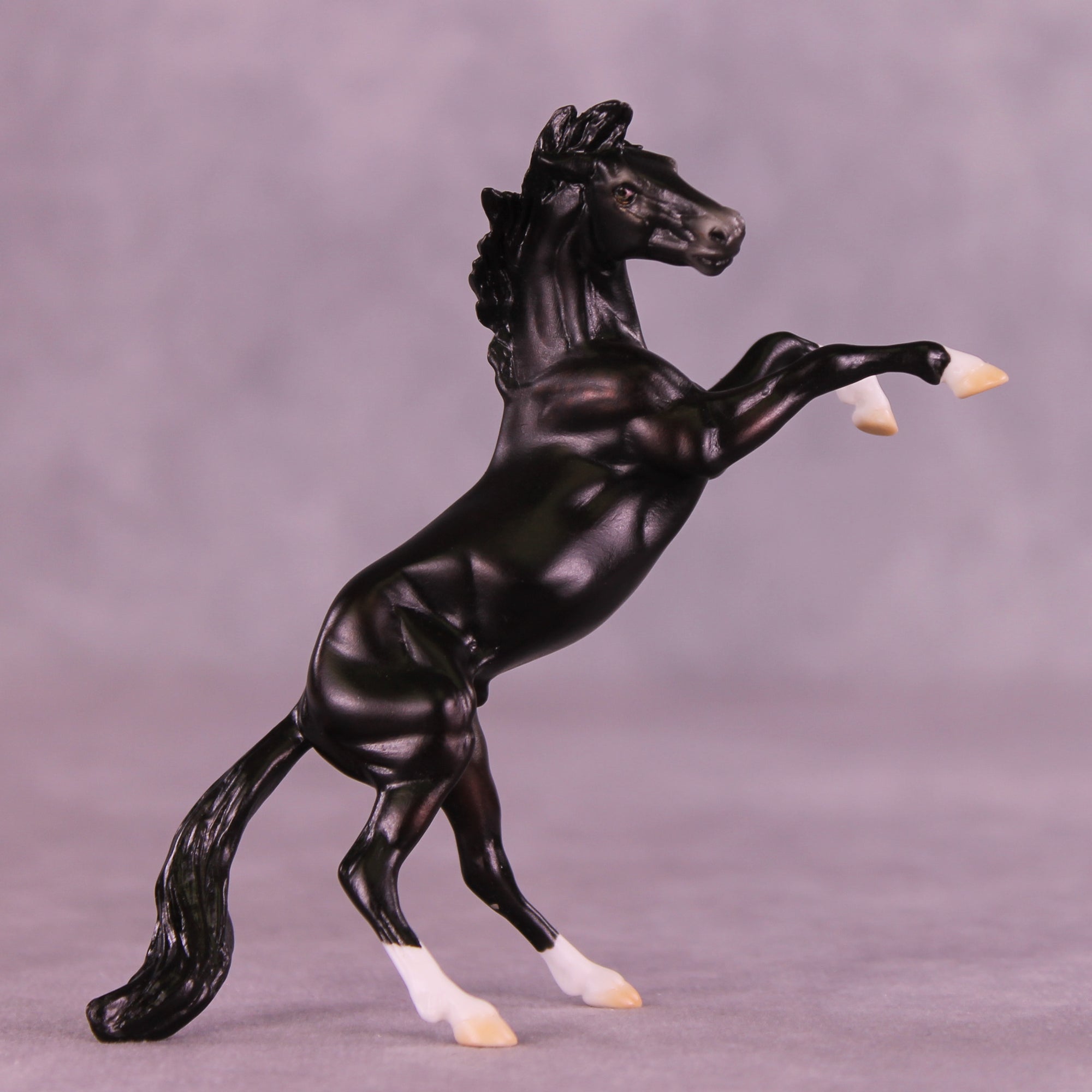 Camillo LE-5 Chip Mustang by Ellen Robbins CL25