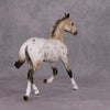 Snow Maiden OOAK Buckskin Appaloosa Yearling By Sheryl Leisure Best Offers 12/10/24