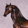 Latimer OOAK FCM Arabian Stallion by Sheryl Leisure Best Offer 10/21/25