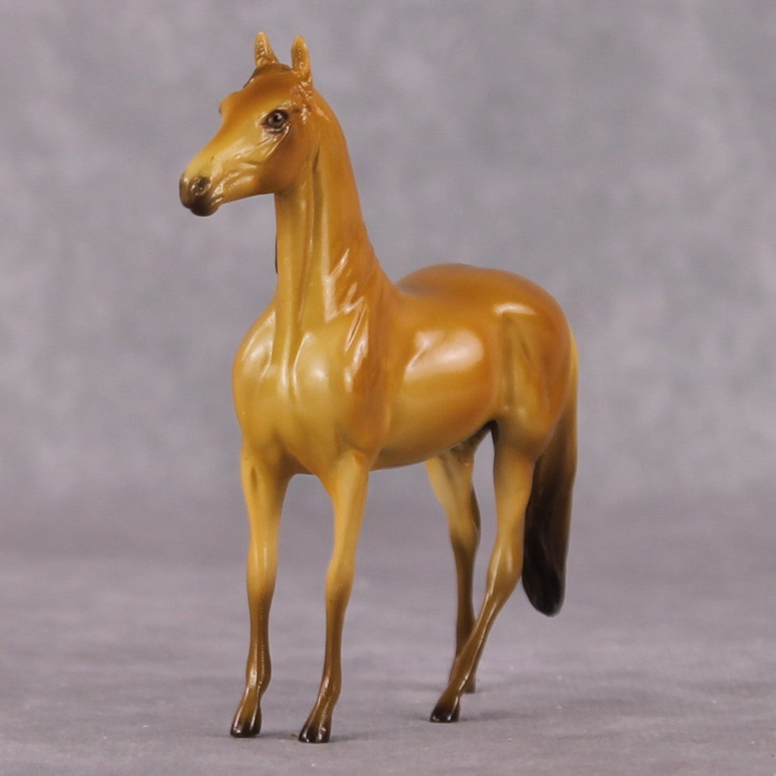 “National Take A Walk in a Park Day” Rock Chips: OOAK Morgan Chip based on Amber by Ellen Robbins