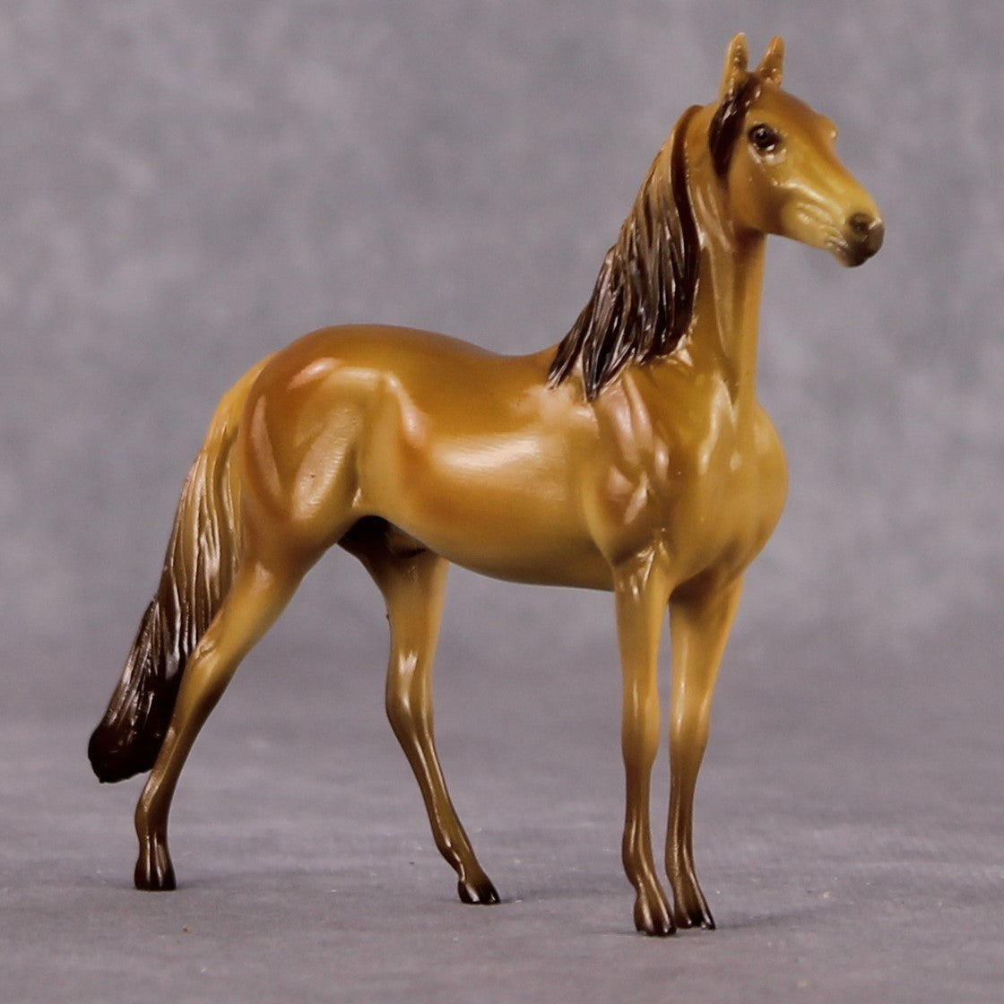 “National Take A Walk in a Park Day” Rock Chips: OOAK Morgan Chip based on Amber by Ellen Robbins