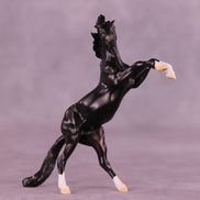 Camillo LE-5 Chip Mustang by Ellen Robbins CL25